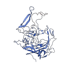 28522_8ep9_p_v1-0
The capsid structure of Human Parvovirus 4