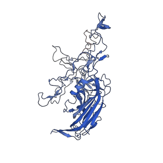 28522_8ep9_r_v1-0
The capsid structure of Human Parvovirus 4