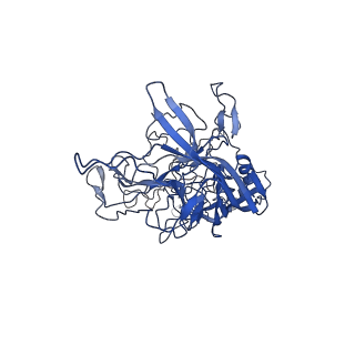 28522_8ep9_s_v1-0
The capsid structure of Human Parvovirus 4