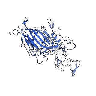 28522_8ep9_t_v1-0
The capsid structure of Human Parvovirus 4