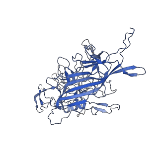 28522_8ep9_u_v1-0
The capsid structure of Human Parvovirus 4