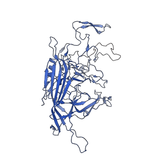 28522_8ep9_v_v1-0
The capsid structure of Human Parvovirus 4