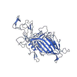 28522_8ep9_w_v1-0
The capsid structure of Human Parvovirus 4