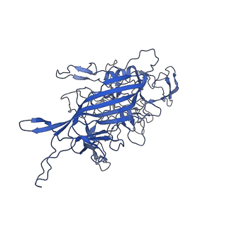 28522_8ep9_x_v1-0
The capsid structure of Human Parvovirus 4