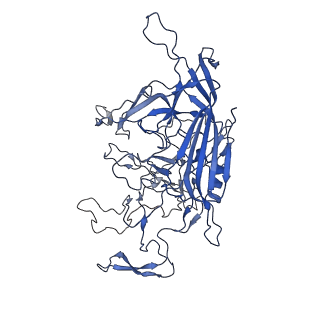 28522_8ep9_y_v1-0
The capsid structure of Human Parvovirus 4