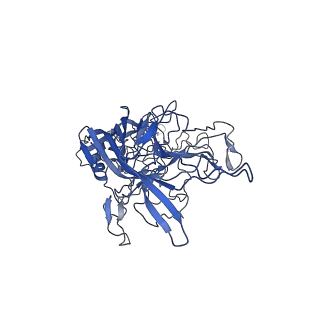 28522_8ep9_z_v1-0
The capsid structure of Human Parvovirus 4