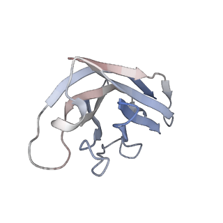 28523_8epa_A_v1-0
Structure of interleukin receptor common gamma chain (IL2Rgamma) in complex with two antibodies