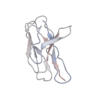28523_8epa_B_v1-0
Structure of interleukin receptor common gamma chain (IL2Rgamma) in complex with two antibodies