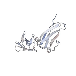 28523_8epa_I_v1-0
Structure of interleukin receptor common gamma chain (IL2Rgamma) in complex with two antibodies