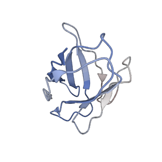 28523_8epa_L_v1-0
Structure of interleukin receptor common gamma chain (IL2Rgamma) in complex with two antibodies
