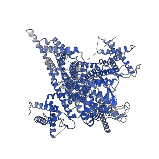 28529_8epl_A_v1-1
Human R-type voltage-gated calcium channel Cav2.3 at 3.1 Angstrom resolution