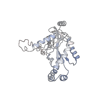 28529_8epl_B_v1-1
Human R-type voltage-gated calcium channel Cav2.3 at 3.1 Angstrom resolution