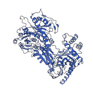 28529_8epl_C_v1-1
Human R-type voltage-gated calcium channel Cav2.3 at 3.1 Angstrom resolution