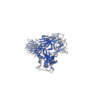 28531_8epn_B_v1-0
Cryo-EM structure of SARS-CoV-2 Spike trimer S2D14 in the 3-RBD Down conformation