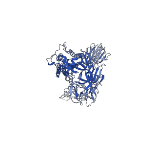 28531_8epn_C_v1-0
Cryo-EM structure of SARS-CoV-2 Spike trimer S2D14 in the 3-RBD Down conformation