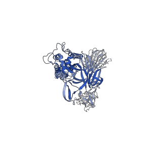 28532_8epp_B_v1-0
Cryo-EM structure of SARS-CoV-2 Spike trimer S2D14 with two RBDs in the open conformation