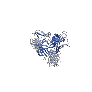 28532_8epp_C_v1-0
Cryo-EM structure of SARS-CoV-2 Spike trimer S2D14 with two RBDs in the open conformation