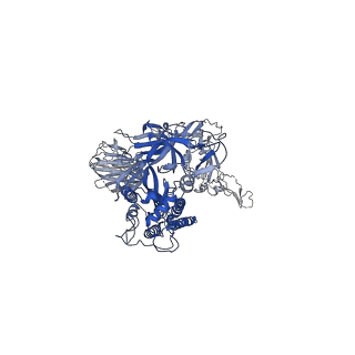 28533_8epq_A_v1-0
Cryo-EM structure of SARS-CoV-2 Spike trimer S2D14 with two RBDs exposed