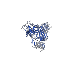 28533_8epq_B_v1-0
Cryo-EM structure of SARS-CoV-2 Spike trimer S2D14 with two RBDs exposed