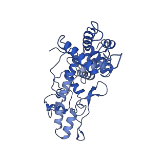 28534_8epx_B_v1-2
Type IIS Restriction Endonuclease PaqCI, DNA bound