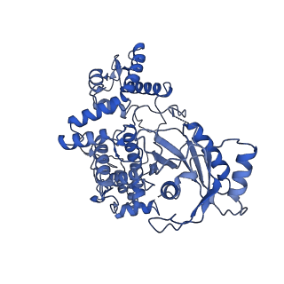 28534_8epx_D_v1-2
Type IIS Restriction Endonuclease PaqCI, DNA bound