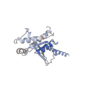 31232_7ept_A_v1-0
Structural basis for the tethered peptide activation of adhesion GPCRs