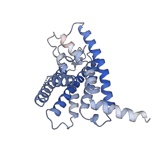 31232_7ept_R_v1-0
Structural basis for the tethered peptide activation of adhesion GPCRs
