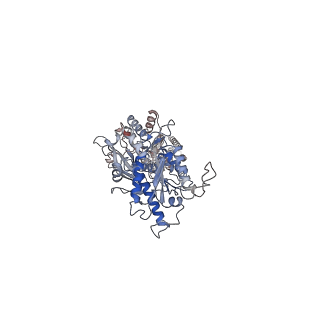 31235_7epa_A_v1-1
Cryo-EM structure of inactive mGlu2 homodimer