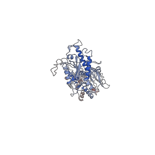 31235_7epa_B_v1-1
Cryo-EM structure of inactive mGlu2 homodimer