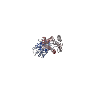 31236_7epb_A_v1-1
Cryo-EM structure of LY354740-bound mGlu2 homodimer