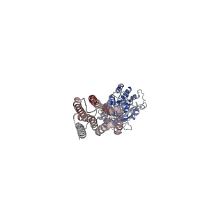 31236_7epb_B_v1-1
Cryo-EM structure of LY354740-bound mGlu2 homodimer