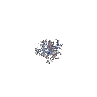 31237_7epc_A_v1-1
Cryo-EM structure of inactive mGlu7 homodimer