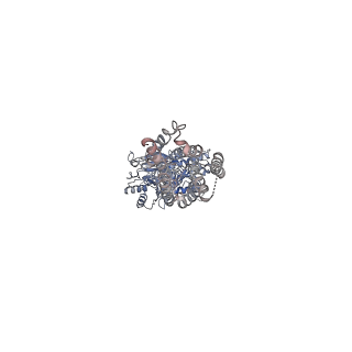 31237_7epc_B_v1-1
Cryo-EM structure of inactive mGlu7 homodimer
