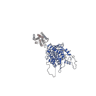 31238_7epd_A_v1-1
Cryo-EM structure of inactive mGlu2-7 heterodimer