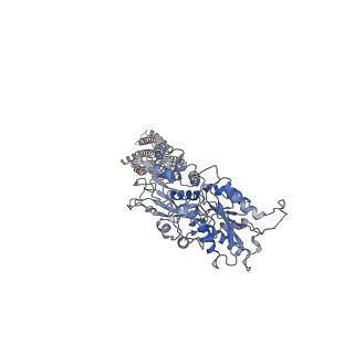 31238_7epd_B_v1-1
Cryo-EM structure of inactive mGlu2-7 heterodimer