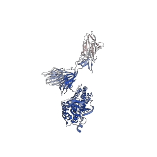 31249_7epx_A_v1-0
S protein of SARS-CoV-2 in complex with GW01