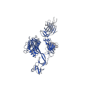 31249_7epx_B_v1-0
S protein of SARS-CoV-2 in complex with GW01
