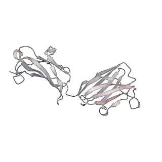 31249_7epx_H_v1-0
S protein of SARS-CoV-2 in complex with GW01