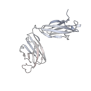 31249_7epx_I_v1-0
S protein of SARS-CoV-2 in complex with GW01