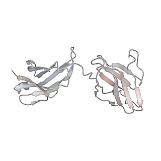 31249_7epx_L_v1-0
S protein of SARS-CoV-2 in complex with GW01