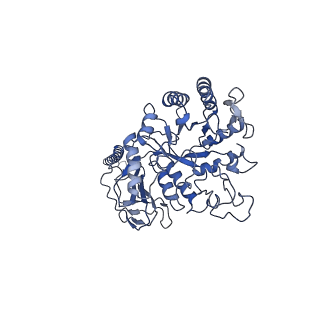 31251_7epz_A_v1-1
Overall structure of Erastin-bound xCT-4F2hc complex