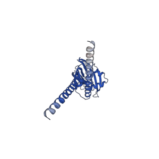 28535_8eq4_B_v1-0
Human PAC in nanodisc at pH 4.0 with PI(4,5)P2 diC8