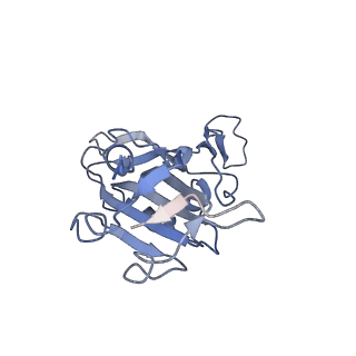 28537_8eqf_A_v1-0
cryoEM structure of a broadly neutralizing anti-SARS-CoV-2 antibody STI-9167