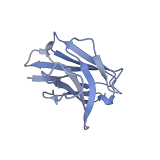 28537_8eqf_H_v1-0
cryoEM structure of a broadly neutralizing anti-SARS-CoV-2 antibody STI-9167