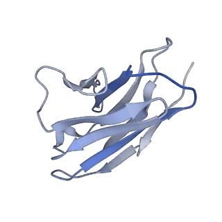 28537_8eqf_L_v1-0
cryoEM structure of a broadly neutralizing anti-SARS-CoV-2 antibody STI-9167