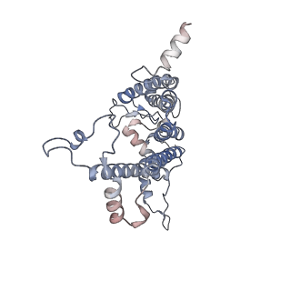 28539_8eqm_A_v1-2
Structure of a dimeric photosystem II complex acclimated to far-red light