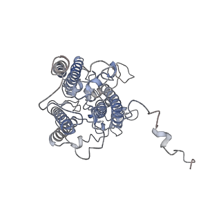 28539_8eqm_c_v1-2
Structure of a dimeric photosystem II complex acclimated to far-red light