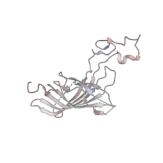 28539_8eqm_o_v1-2
Structure of a dimeric photosystem II complex acclimated to far-red light