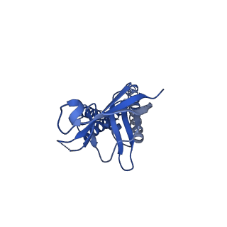 28544_8eqs_A_v1-0
Structure of SARS-CoV-1 Orf3a in late endosome/lysosome-like environment, MSP1D1 nanodisc
