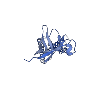 28545_8eqt_B_v1-0
Structure of SARS-CoV-2 Orf3a in plasma membrane-like environment, MSP1D1 nanodisc